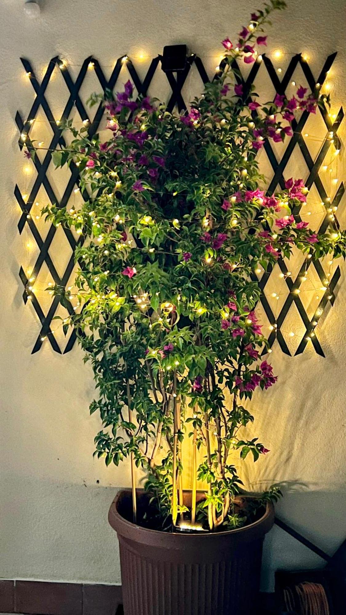 Oasi Di Serenita มารีโน ภายนอก รูปภาพ